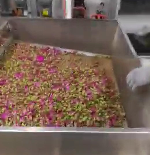 花茶麻豆APP在线观看幹燥機應用