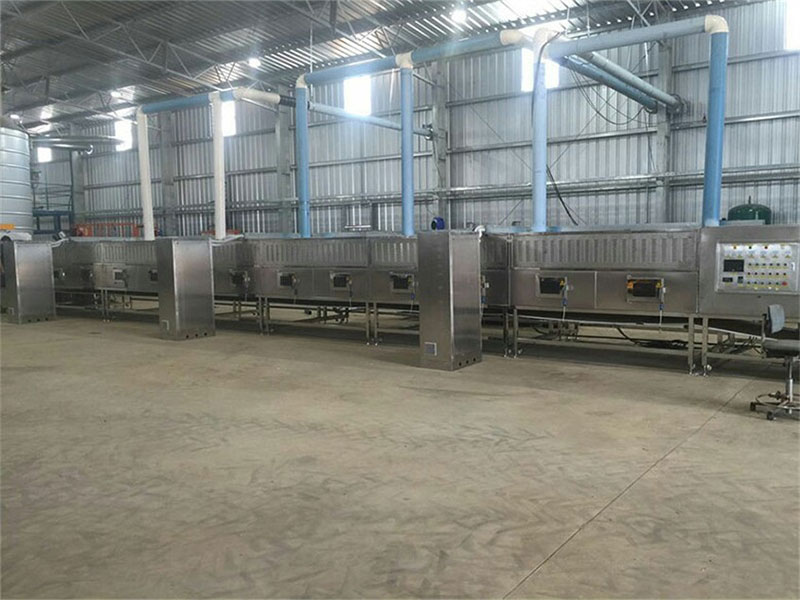 利用麻豆APP在线观看幹燥設備技術提高農產品儲存壽命和品質的分析